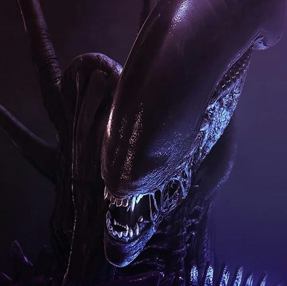 Meet your Posher, Travis amanda - Picture 1 of 1